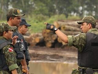 Dől a fa: Brazíliában gyorsult az erdőirtás
