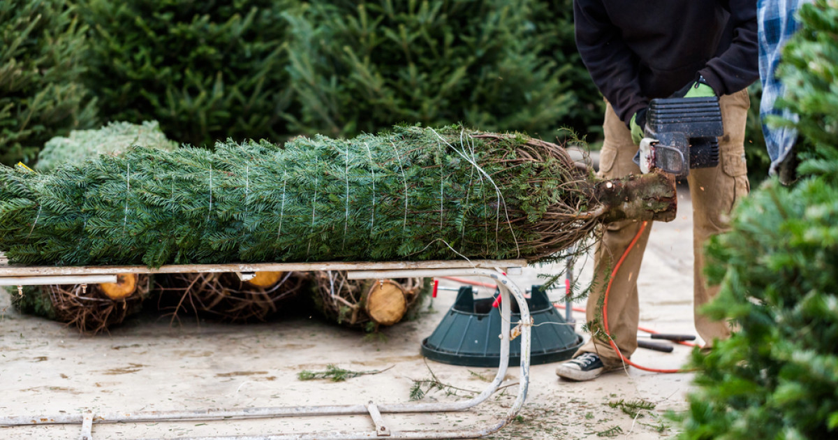 Ünnepi vészhelyzetek a küszöbön: alig van megbízható szakember