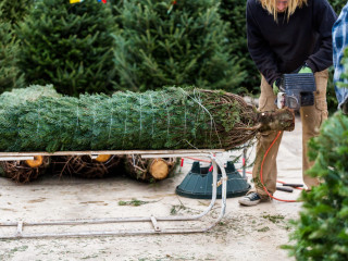 Ünnepi vészhelyzetek a küszöbön: alig van megbízható szakember