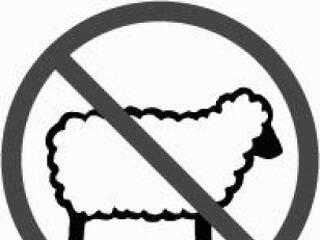 Külföldiekre nem jellemző a nyájszellem