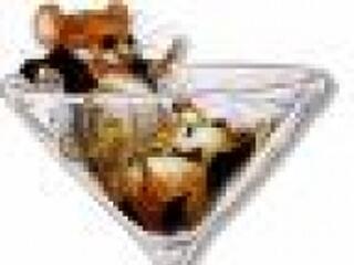 Bormustra a Belvárosban