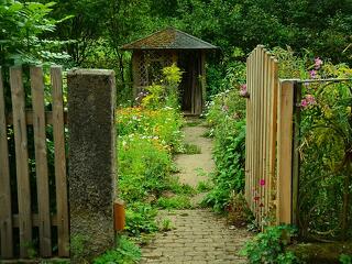 A zártkertek drágulnak, miközben a belterületi ingatlanok árai csökkennek