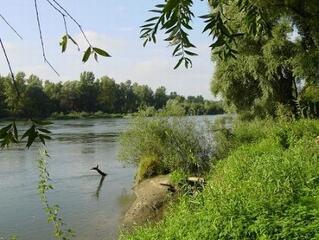 Tisztítsuk meg vízpartjainkat!