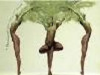 Teret kapnak a hölgyek