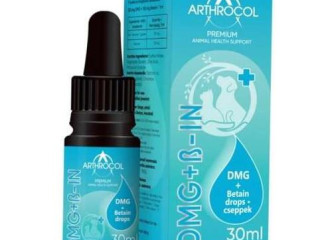 A macskák veszélyes ellensége: a fertőző leukózis