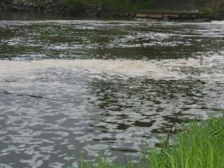 Nincs ok az aggodalomra a Dunán