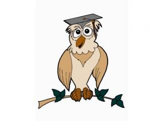 Tudományos felfedezést tett egy robot