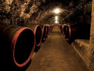 Borkóstolás, blogolás havi kétmillióért