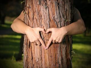 Tíz dolog, amiért imádjuk az erdőket