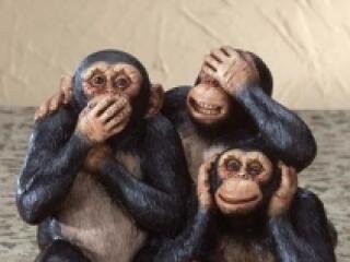 Nem becézi, nem álcázza