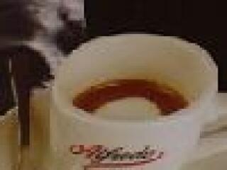 Dioxin: megint semmi!