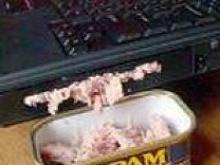 Három e-mailből kettő kéretlen