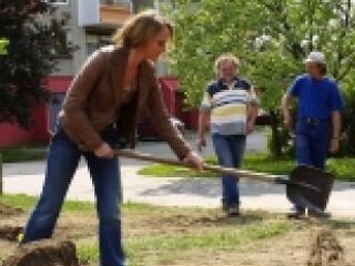 Faültetés Gazdagréten