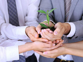 Hogyan lehet zölden hirdetni? Útmutató jelent meg cégeknek