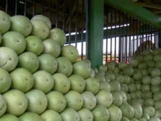 Dinnyések-kereskedők: 2-0