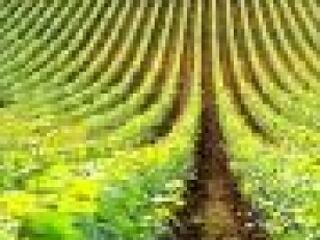 Az agrárminiszter a Magosz rendezvényén