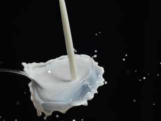 Szennyezett tejet vontak ki a forgalomból