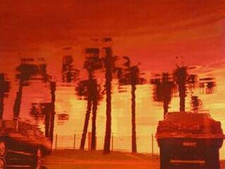 350 percnyi szemétszedéssel a szebb jövőért