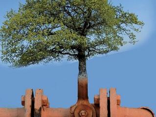 Fenntartható megoldás: önellátó települések