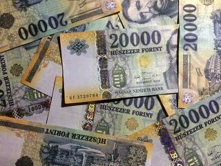 A forintárfolyam zuhanása sújtja a leginkább a magyar kisvállalkozókat