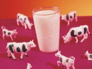 Tejbőségre ne számítsunk