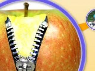 A cégek tudják mit akarnak