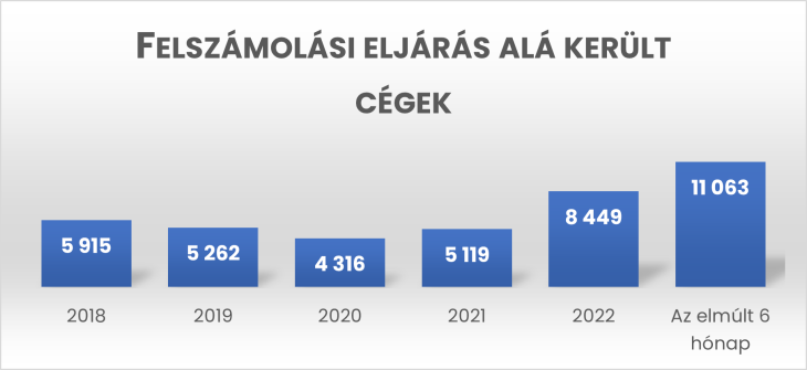 Forrás: Opten