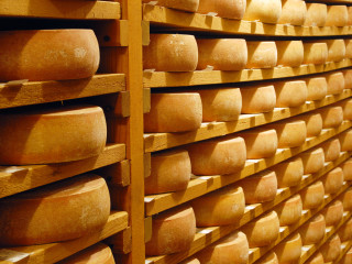 Nem minden trappista, ami annak látszik – mekkorát üt a sajttörvény?