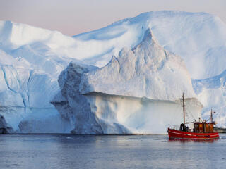 Lázadás Trump ellen Grönland ügyében