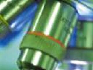 A kormány előtt az innovációs törvény