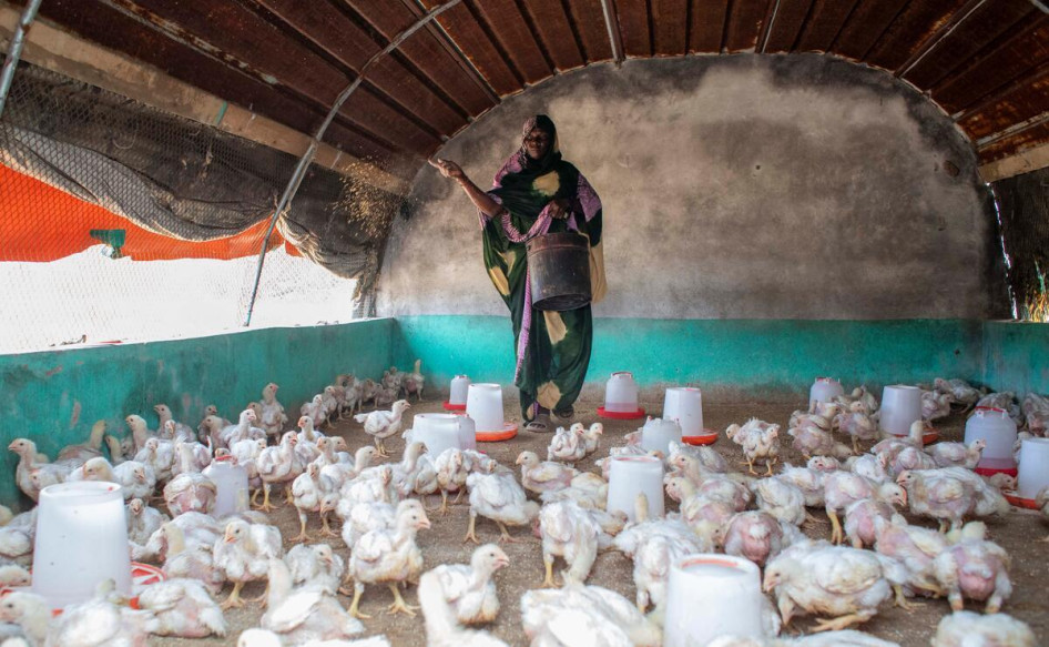 Negatív infláció az élelmiszerpiacokon
