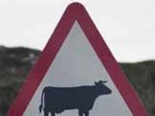 "Ennyi állat nem kell az uniónak"