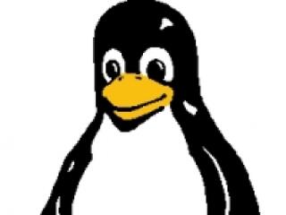 Töretlen a Linux térhódítása