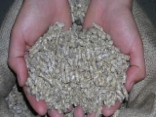 Európa legmodernebb üzeme épül Szászberken