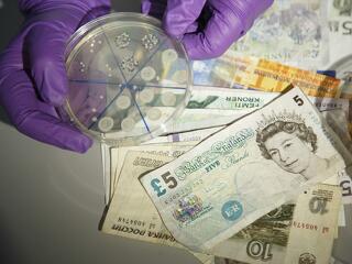 Piszkos, fertőző: veszélyes a készpénz