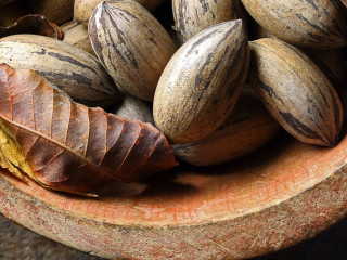 Feketén potyog le a dió a fákról, van alternatívája?