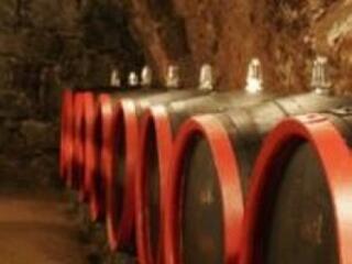 Vinoterápiás wellness épül Tokajban