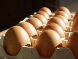 Az ukrajnai háború miatt hiány nem lesz a tojáspiacon, csak áremelkedés