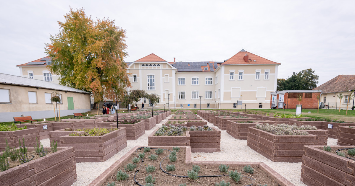Okoskert a Széchenyi István Egyetemen