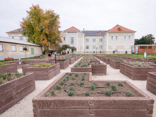 Okoskertet és bemutatóüzemeket nyitott a Széchenyi István Egyetem Mosonmagyaróváron