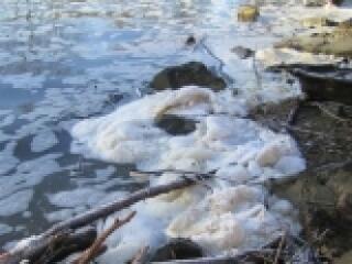 Mit csinálnak az osztrákok?!