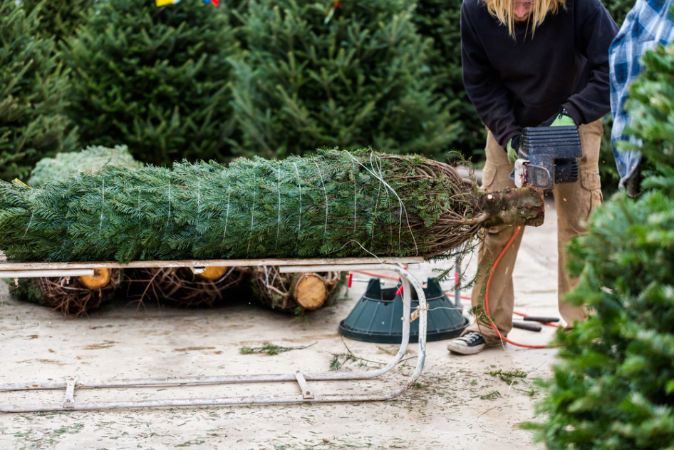 A magyarok fele nem készül fel az ünnepi vészhelyzetekre