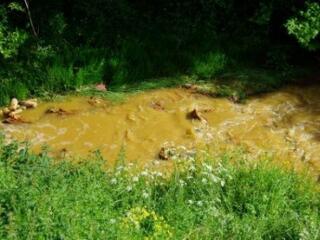 Jobban büntetnék a környezetkárosítást