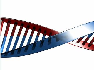 Betegséghajlam-előrejelzés: mennyire megbízhatók az új géntesztek?