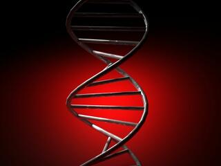 Áttörést hozhat a gyógyításban a génmódosítás?