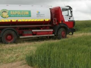 Nem leszünk biodizel nagyhatalom