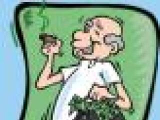 Nyugdíjassarc több hangszeren