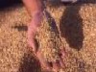 Adózni, de másként