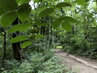 A mezőgazdaság is csökkentheti a CO2 kibocsátást