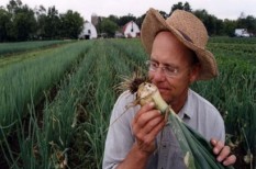 agrárkamara, bírság, föld, termőföld agrárkamara, bírság, föld, termőföld